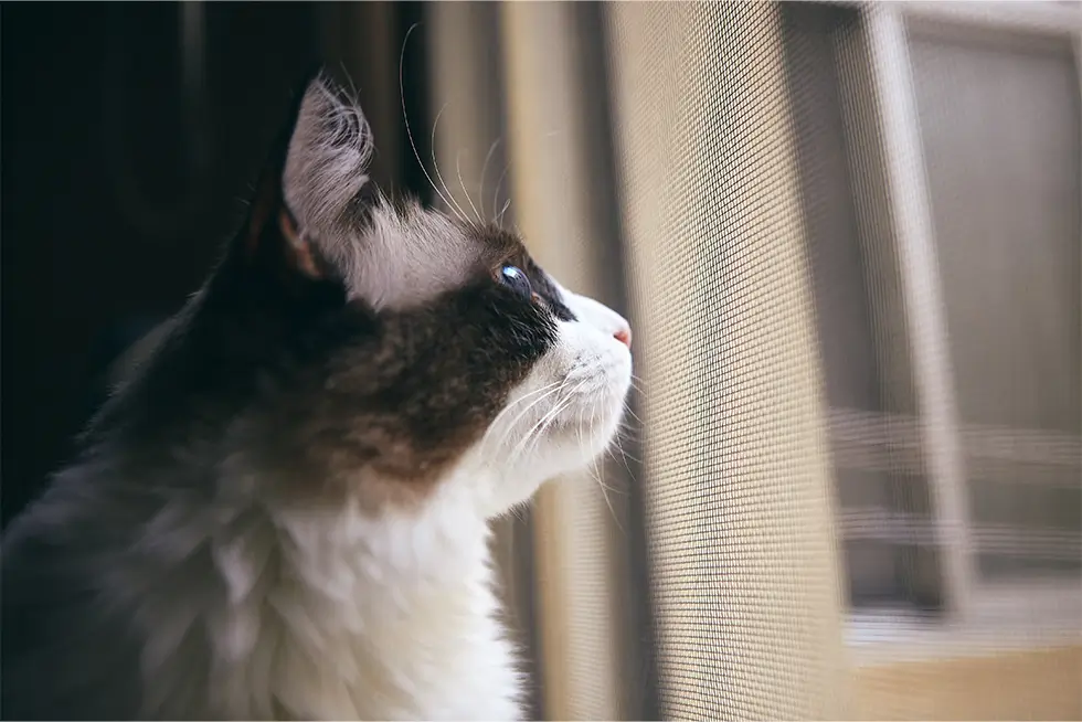 PetScreen® - Haustiersichere Schutzgitter